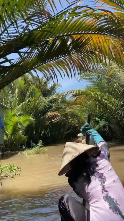 Vietnam’s Blue Carbon Strategy, A Promising ASEAN collaboration.